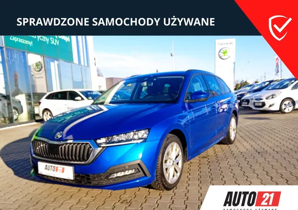 samochody osobowe Skoda Octavia cena 79900 przebieg: 119901, rok produkcji 2020 z Nysa